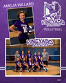 Falcon Volleyball